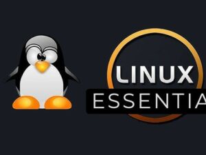LinuxEssentials