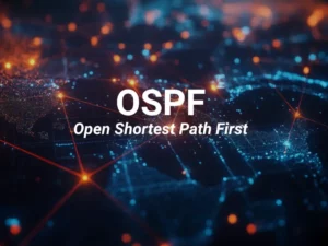 OSPF_0808