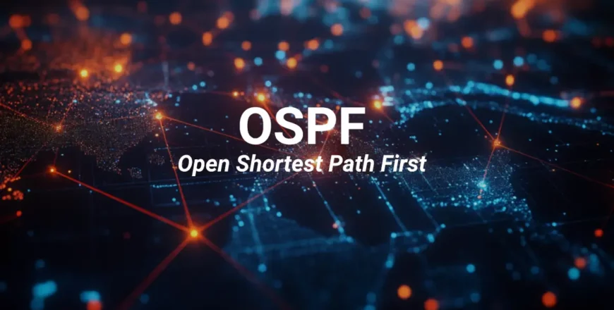 OSPF_0808